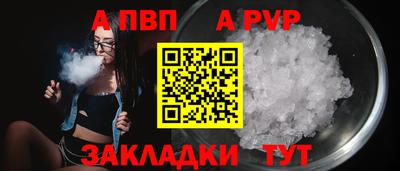 стафф Шебекино