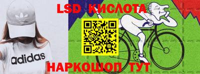 стафф Шебекино