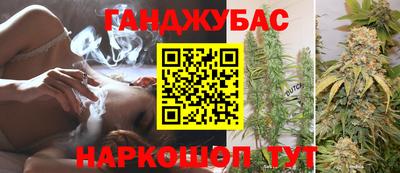 стафф Шебекино